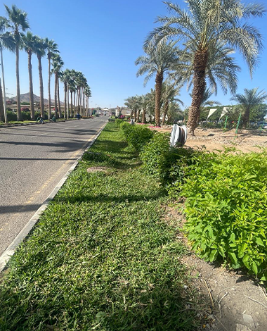 Garden Rehabilitation