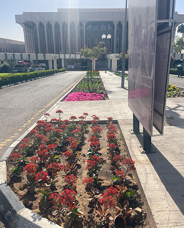 Garden Rehabilitation